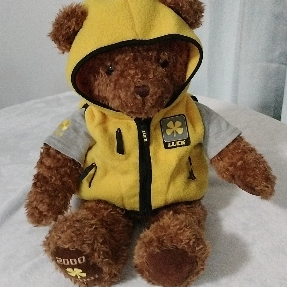 Wish Bear Luck limited edition